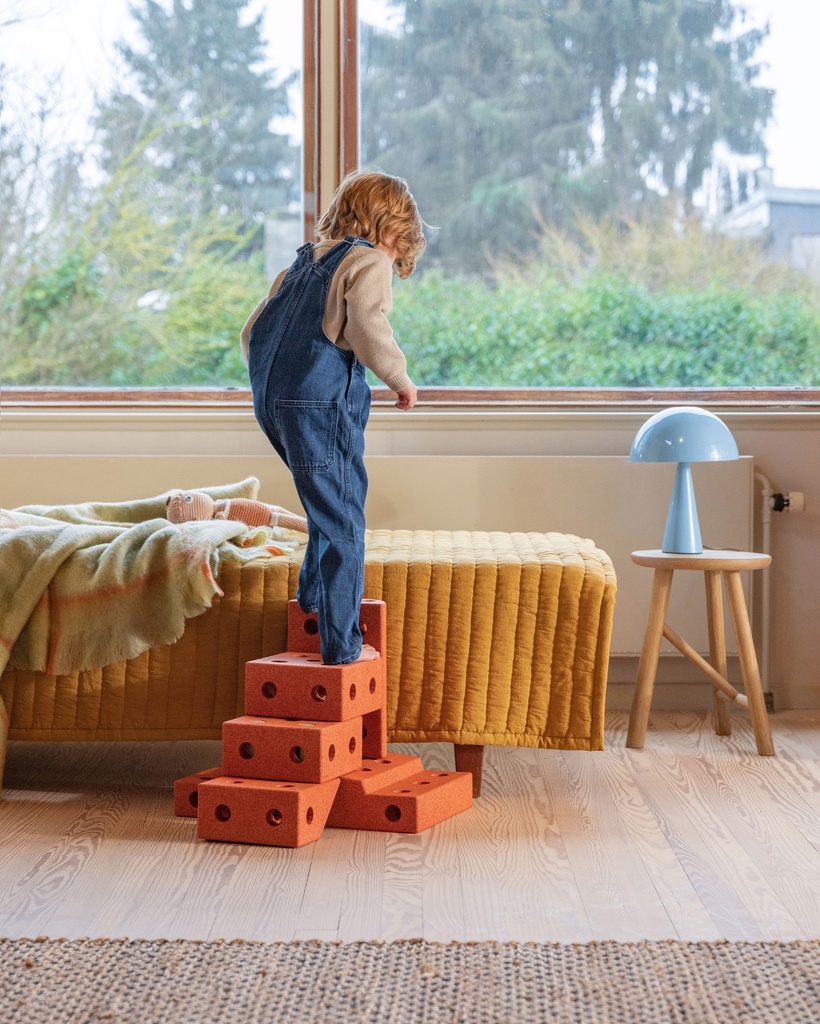 JEU DE CONSTRUCTION EVOLUTIF CURIOSITY KIT MODU