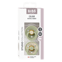 PACKX2 BIBS Studio COLOUR T1