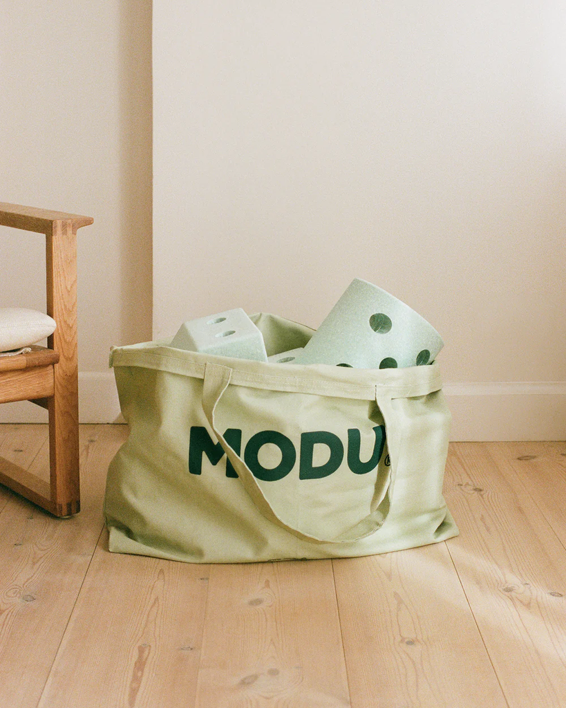 SAC DE TRANSPORT MODU