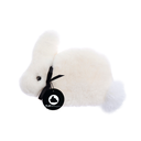 LAPIN FLATOUTbear 