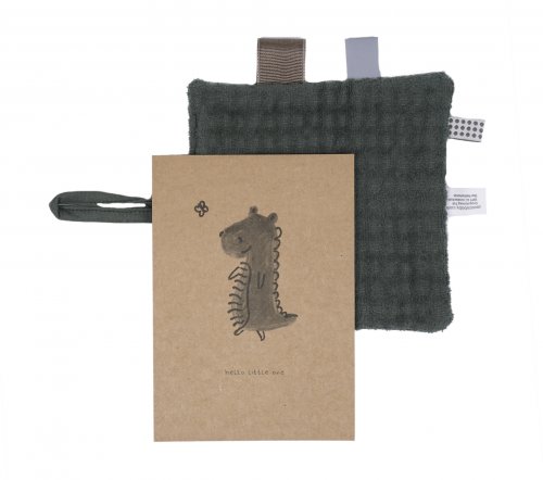 CARTE CADEAU NAISSANCE SNOOZEBABY